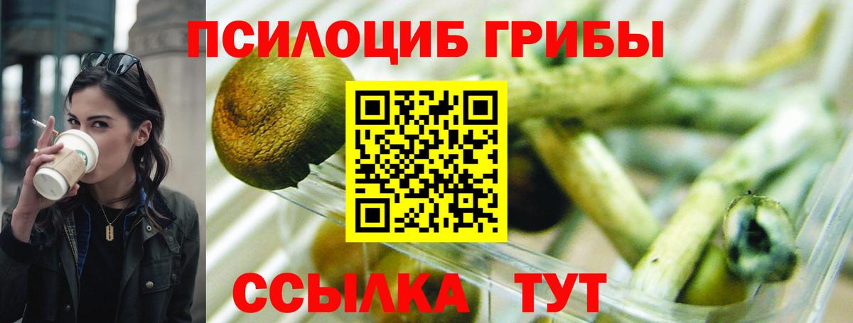 Серпухов  Псилоцибиновые грибы мицелий  Вход с VPN  Галлюциногенные грибы мухоморы 